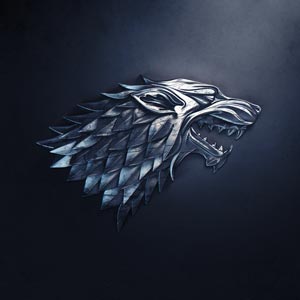 Дом Старков